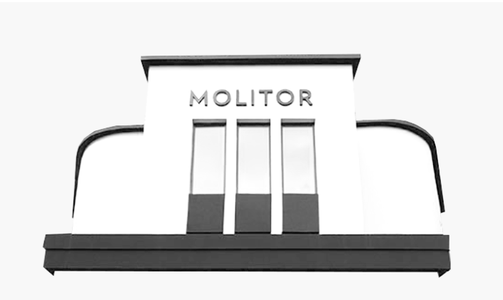 Peugeot Molitor